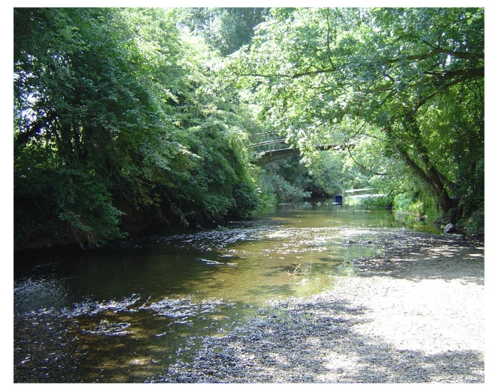 bridge over river roding by peter house and carol murray.jpg